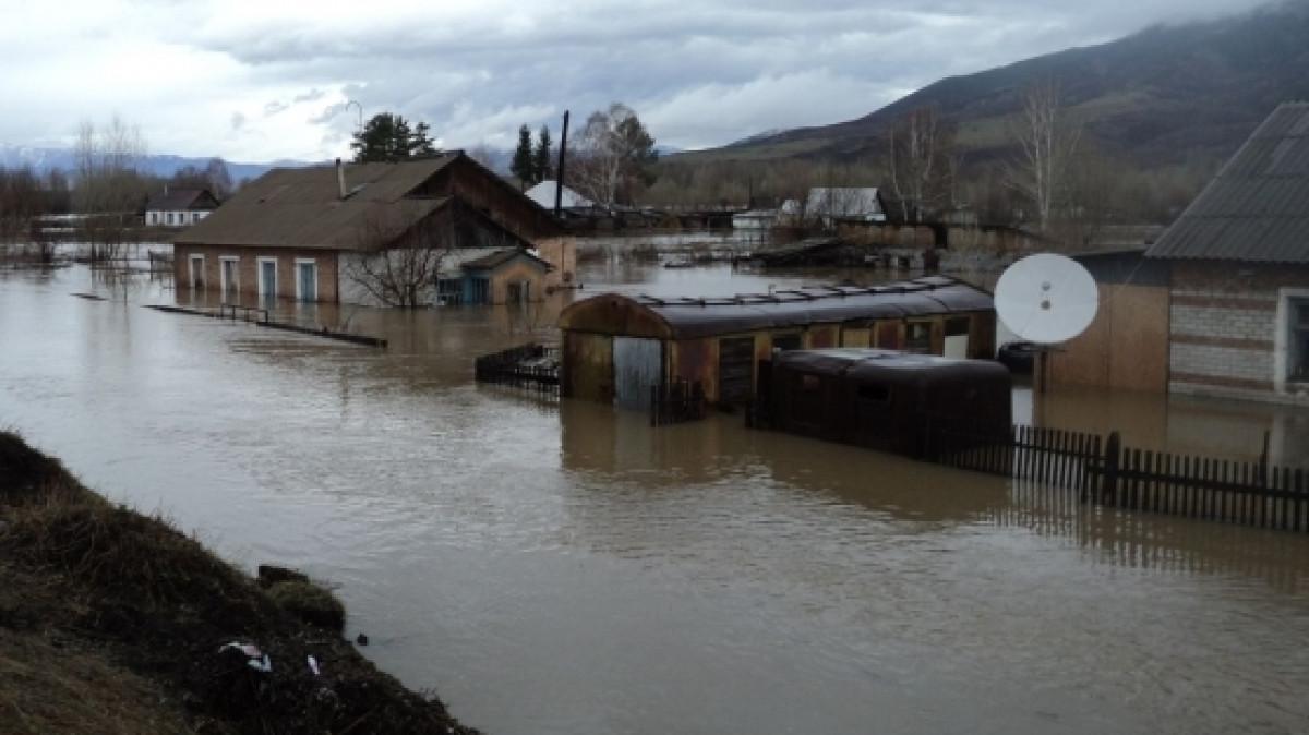 Из открытых источников