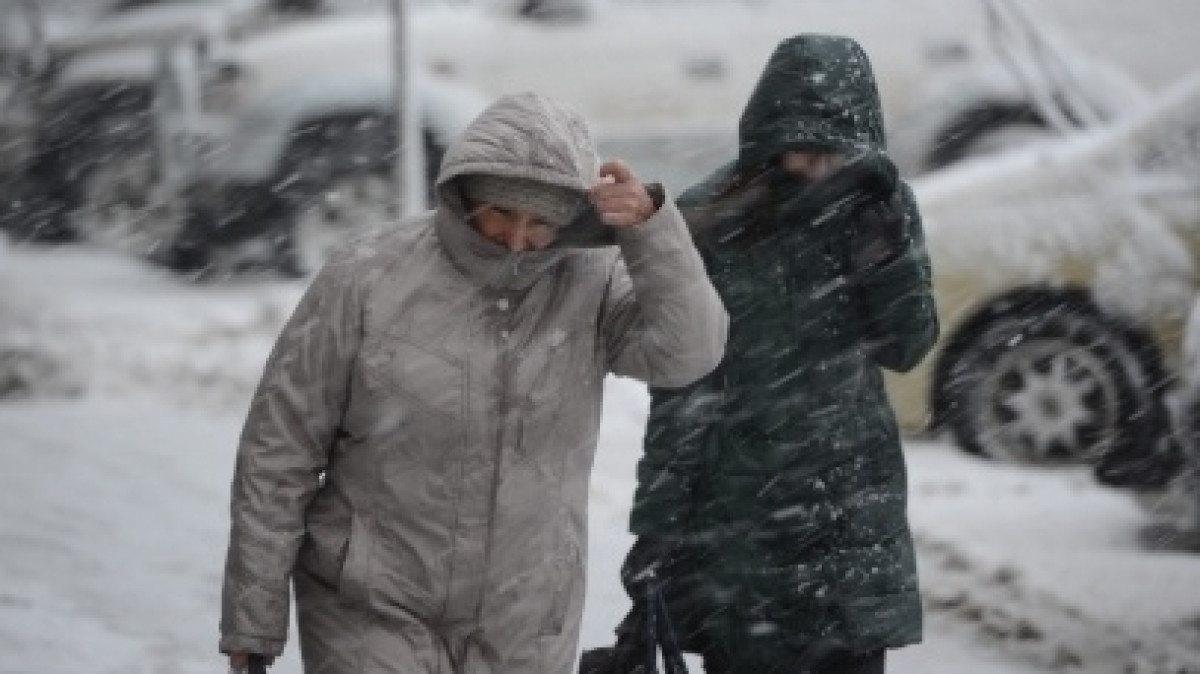 Из открытых источников