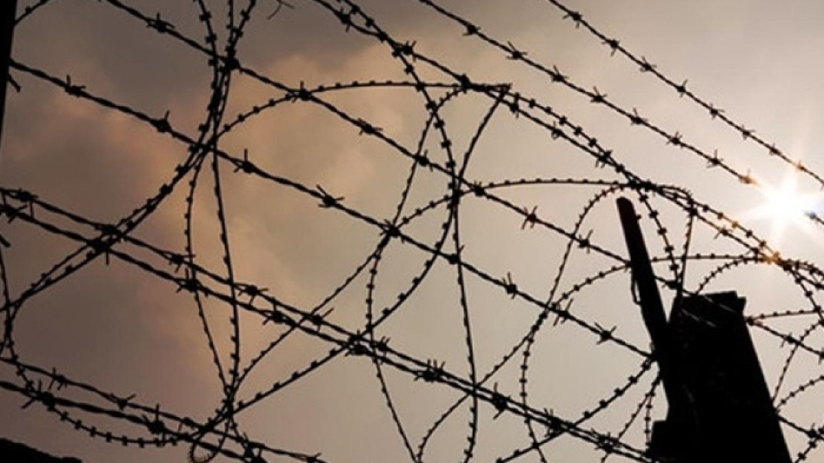 Из открытых источников