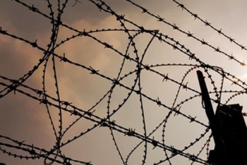 Фотография к новости: Четверо осужденных скончались от отравления в Костанайской области