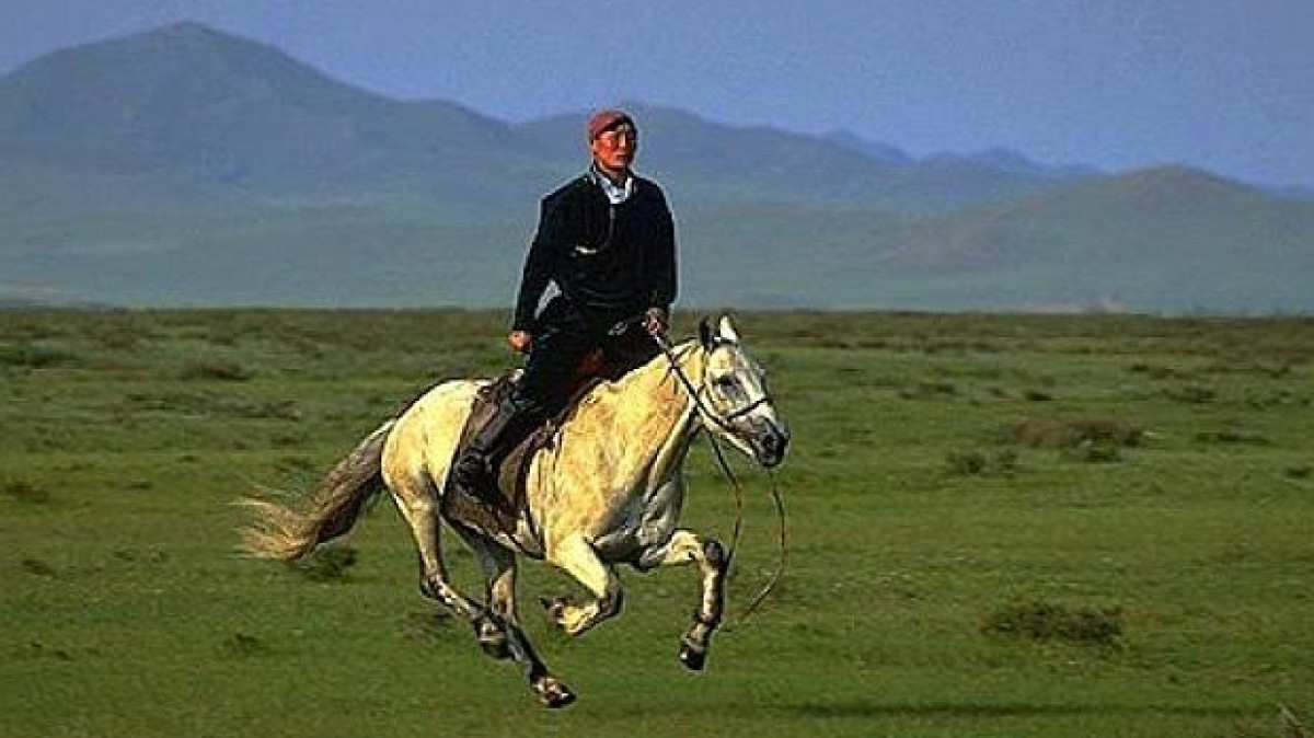 Из открытых источников