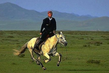 Фотография к новости: Лошадь с наездником станцевали қара жорға в Кокшетау