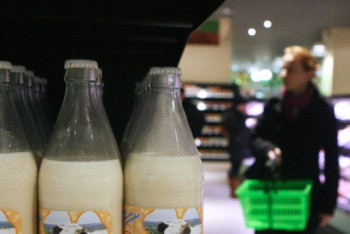 Фотография к новости: Сведения о растительных жирах появятся на молочных продуктах в ЕАЭС