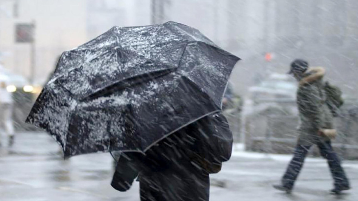 из открытых источников