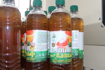 "Чудо-напиток" из чайного гриба начали выпускать в Павлодаре