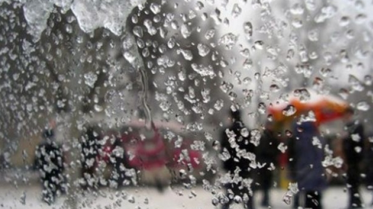 Из открытых источников 