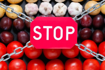 Фотография к новости: Более 70 тонн подкарантинной продукции пытались завезти в Россию из Казахстана