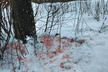 Фотография к новости: Тело обнажённой женщины найдено в снегу в Уральске