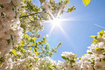 Фотография к новости: Холодное лето прогнозируют синоптики 