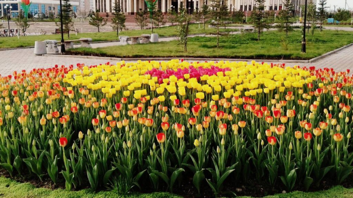 Оңтүстік Туризм Орталығы