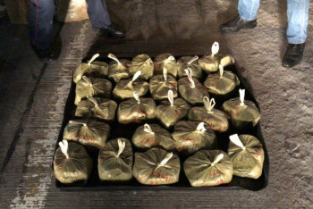 Фотография к новости: Партию гашиша весом в 140 кг изъяли в Акмолинской области 