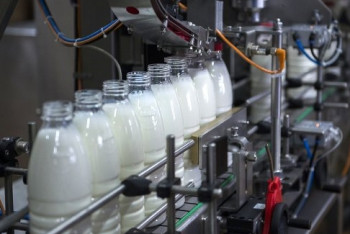 Фотография к новости: Географию и климат будут учитывать при субсидировании молочных производств 