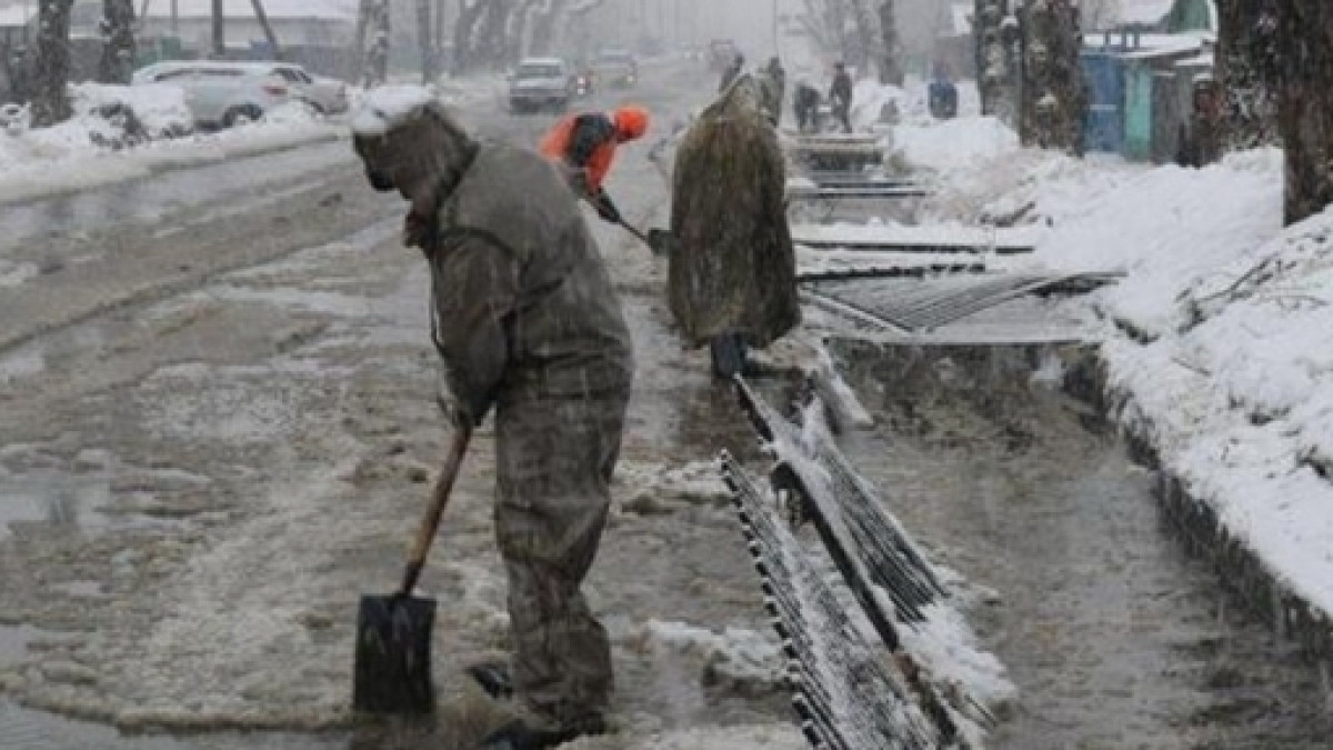 из открытых источников
