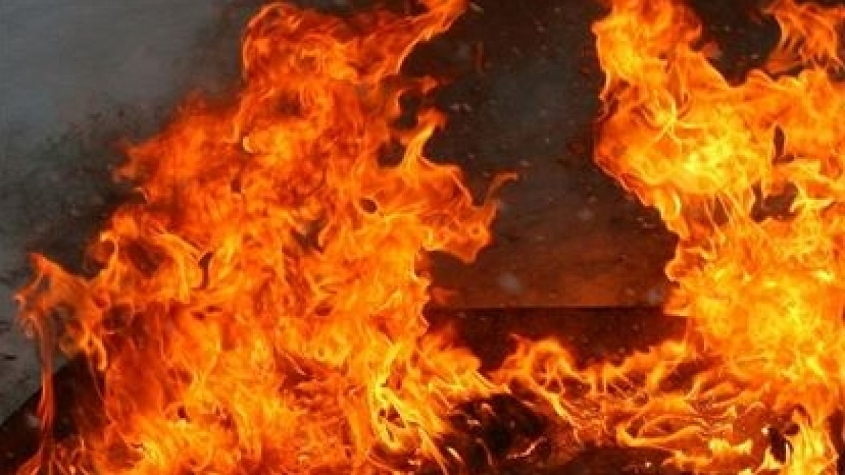 Иллюстративное фото 