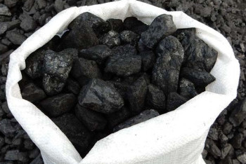 Фотография к новости: Проблемы качества и количества угля подняли общественники ВКО 