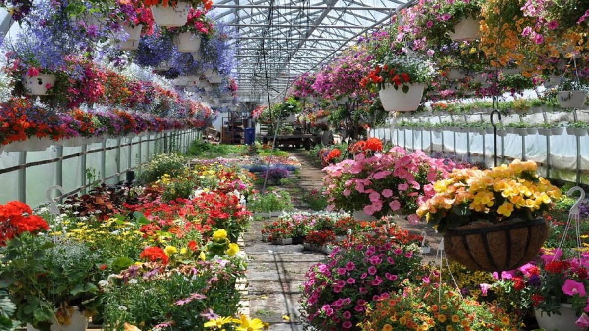 Из открытых источников 