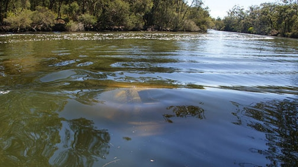 Из открытых источников 