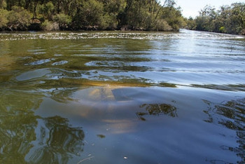 Фотография к новости: Женщину сбили и утопили в автомобиле в Павлодаре 