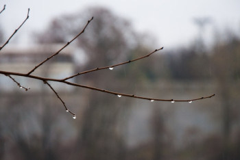 Фотография к новости: Погода без осадков будет лишь на западе Казахстана 14 марта