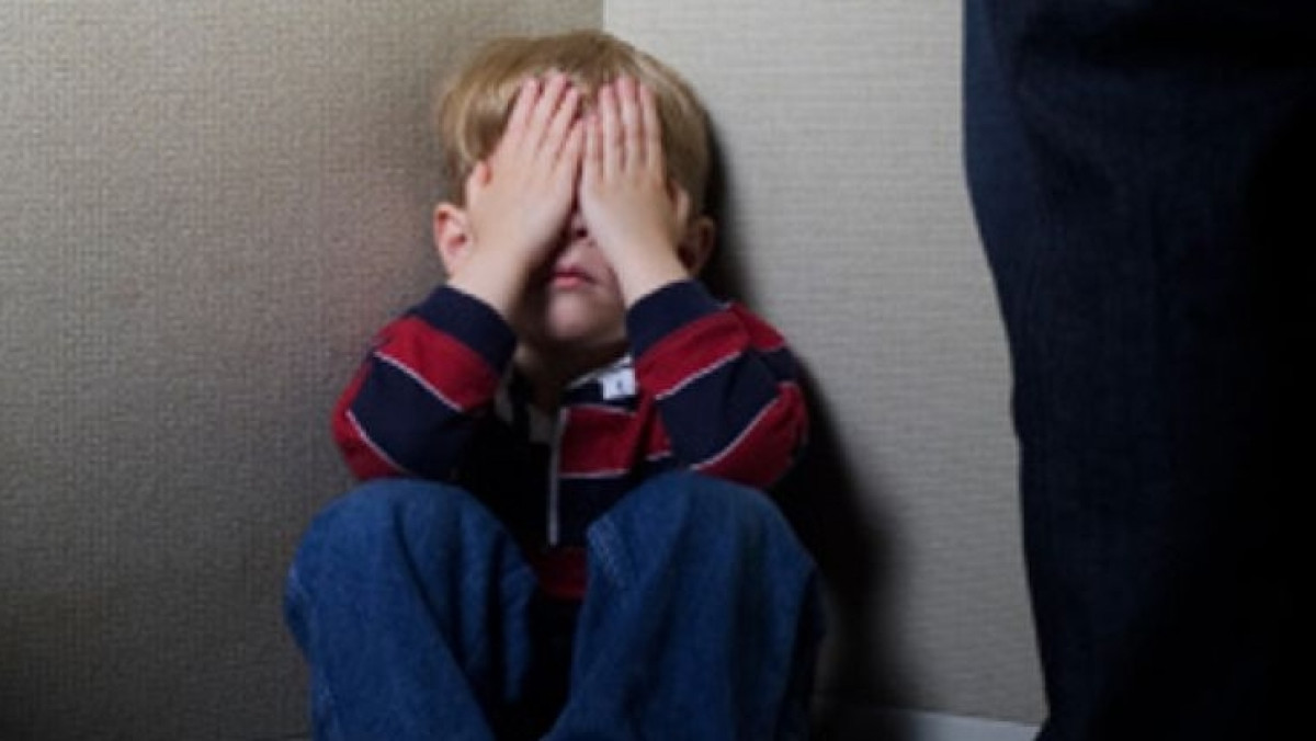 из открытых источников