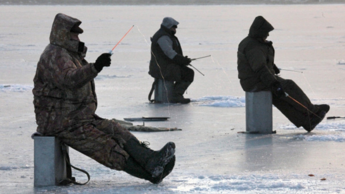 Из открытых источников