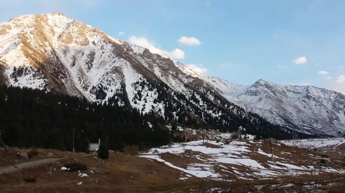 Из открытых источников