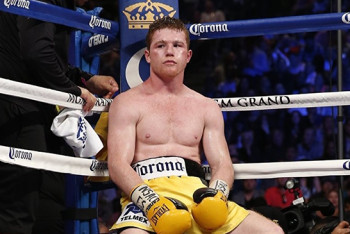 Фотография к новости: Допинг-проба Альвареса перед боем с Головкиным оказалась положительной