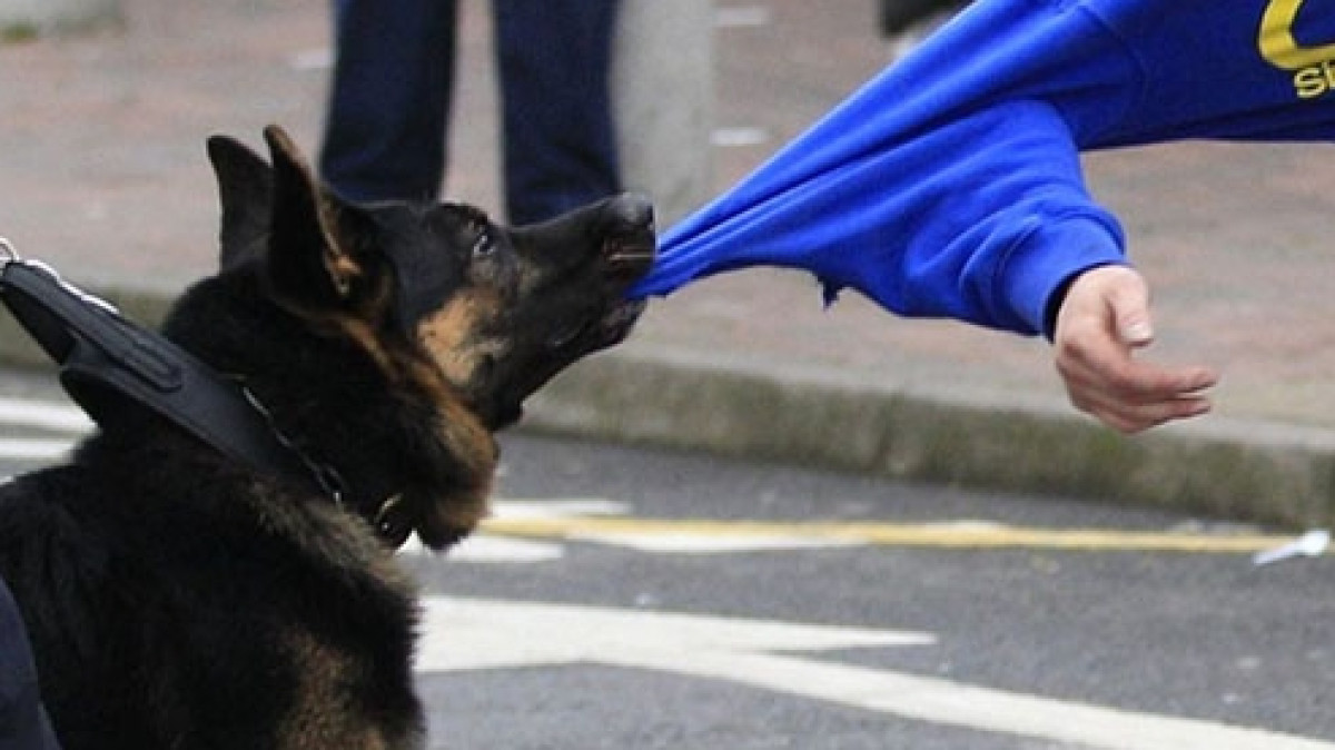 Из открытых источников