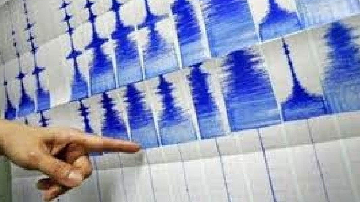 Из открытых источников