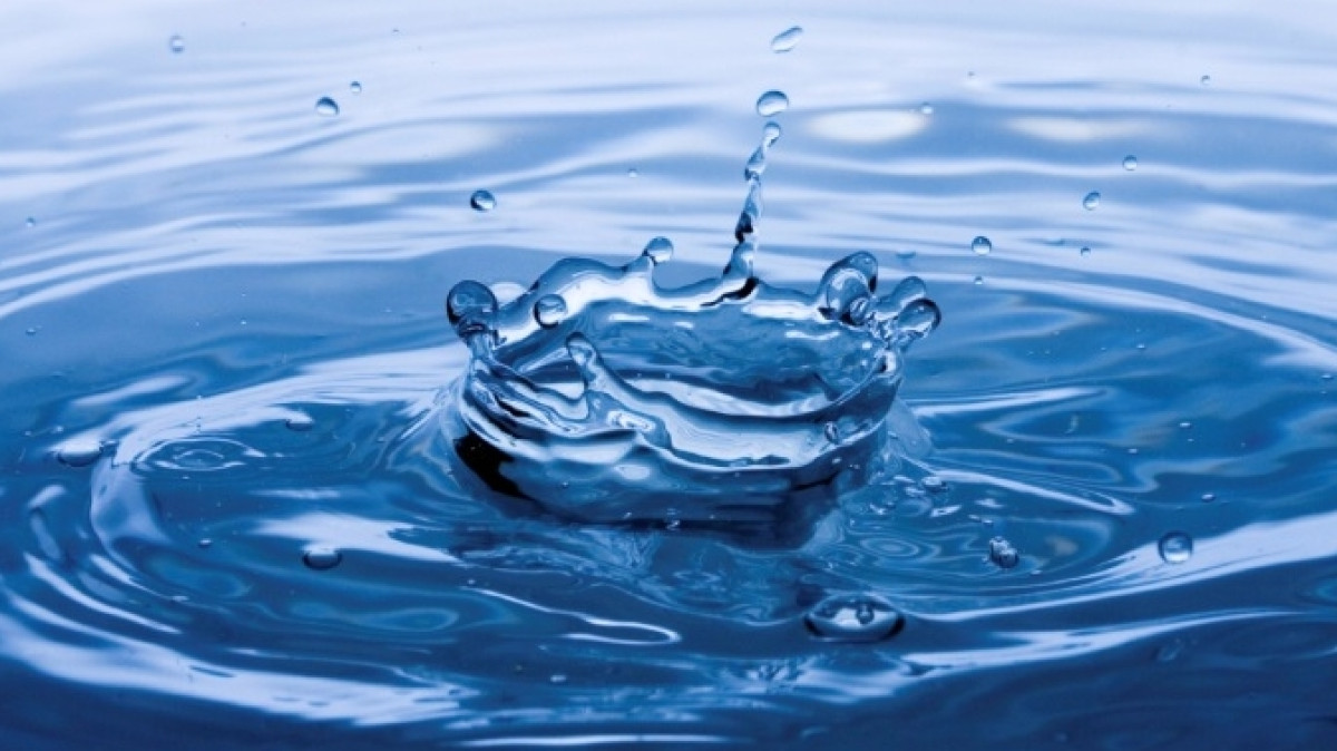 Из открытых источников