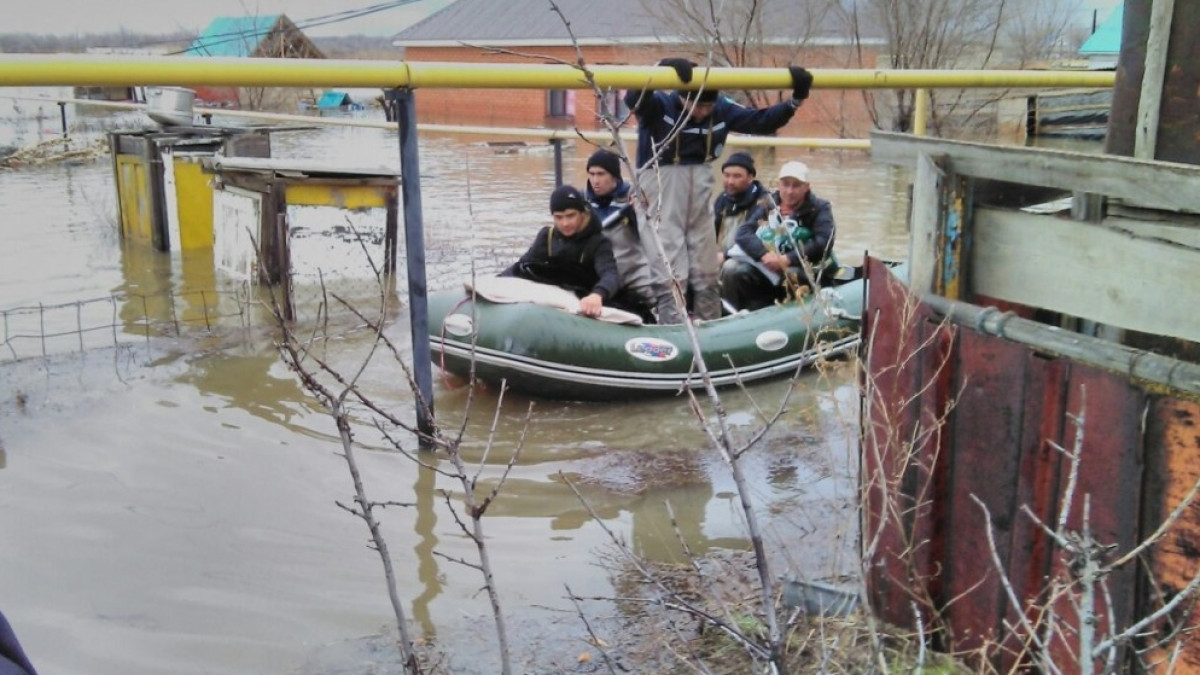 Иллюстративное фото 