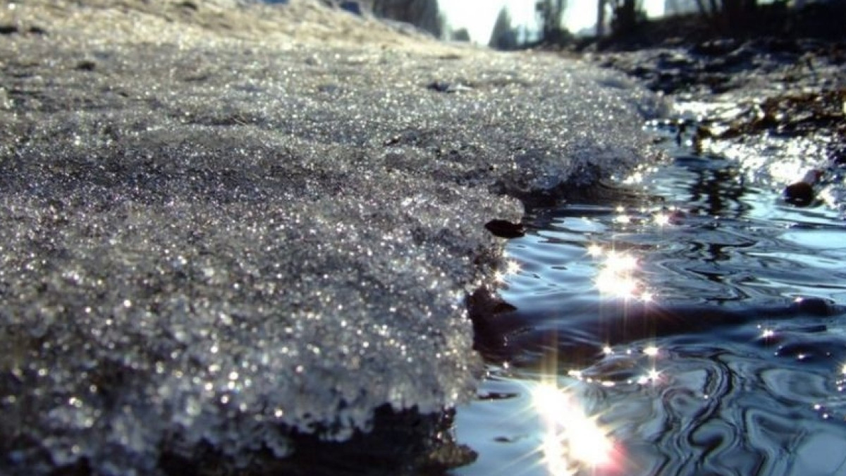 Из открытого источника 