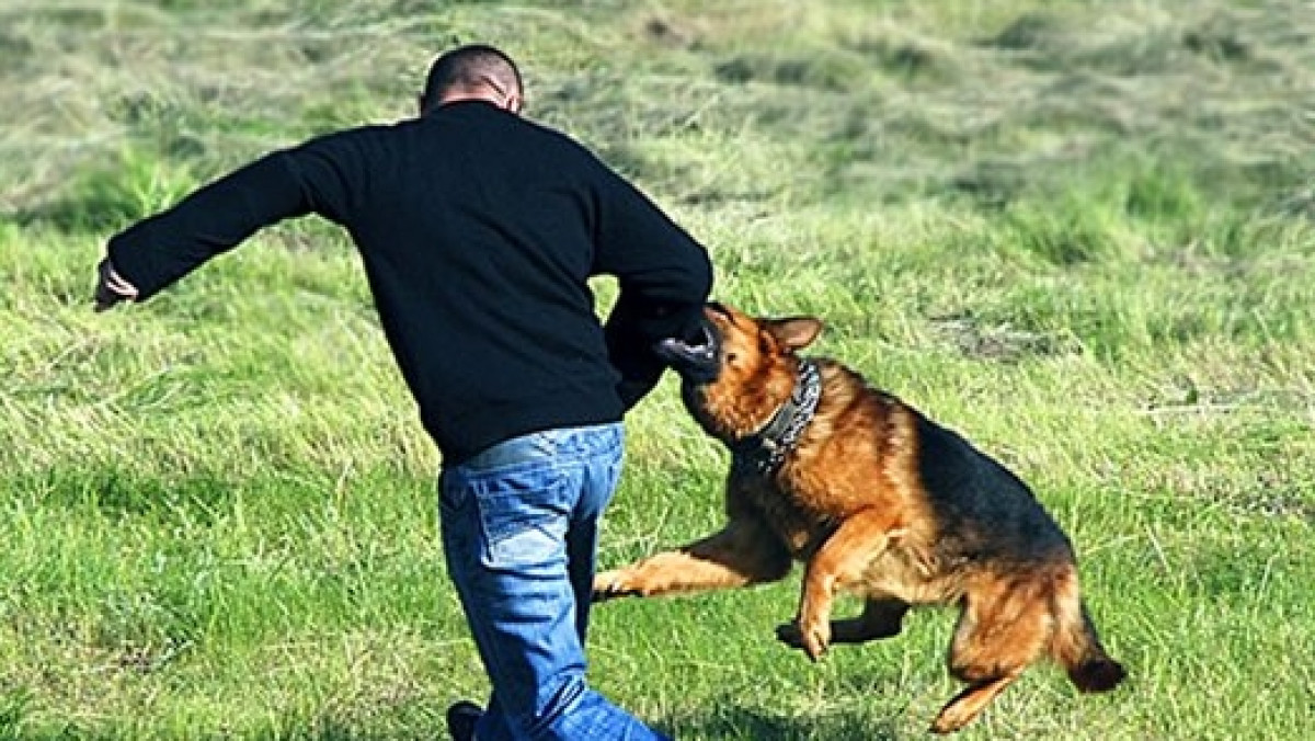 Из открытого источника 