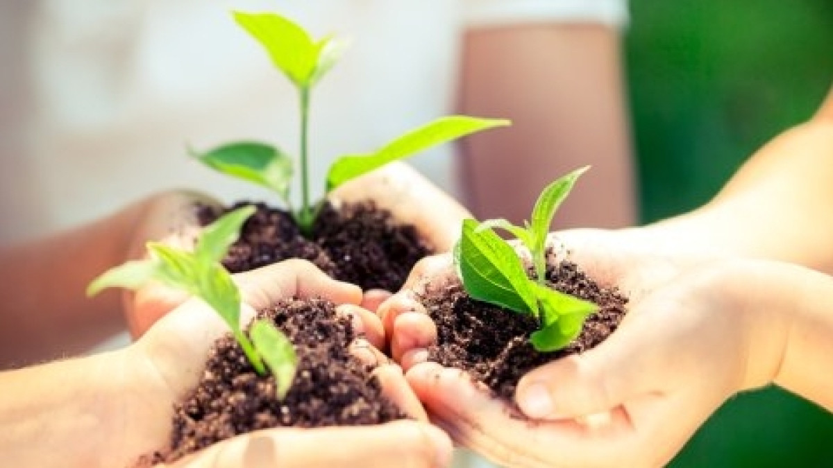 из открытых источников