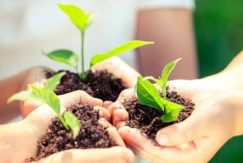 Фотография к новости: Мангистауские старшеклассники в Instagram запустили эстафету "Зелёная школа"