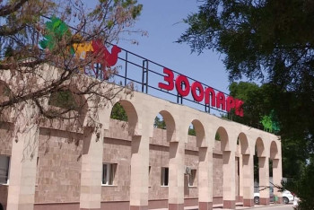 Фотография к новости: Животные погибли по естественным причинам – директор зоопарка Шымкента