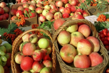 Фотография к новости: Международный фестиваль яблок "Алма Fest" хотят организовать в Казахстане