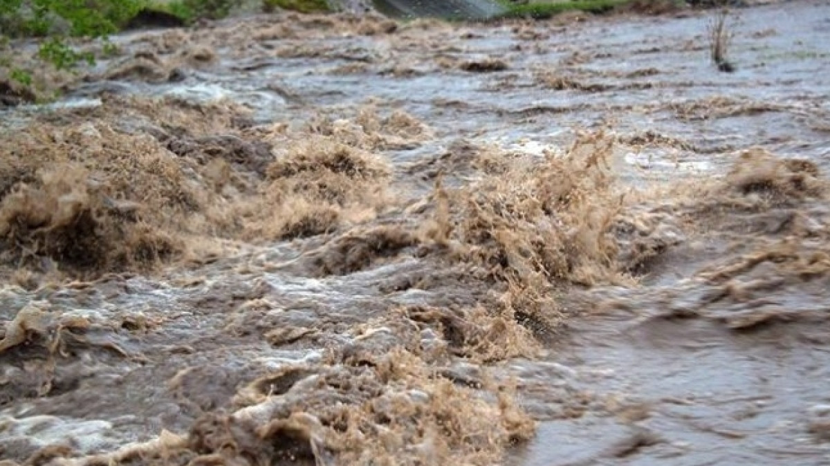 Из открытых источников