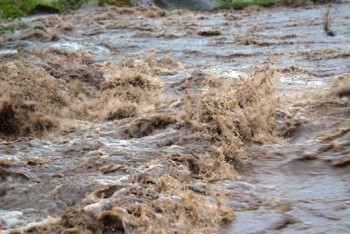 Фотография к новости: Активная очистка арычных сетей производится в Алматы в рамках борьбы с паводками