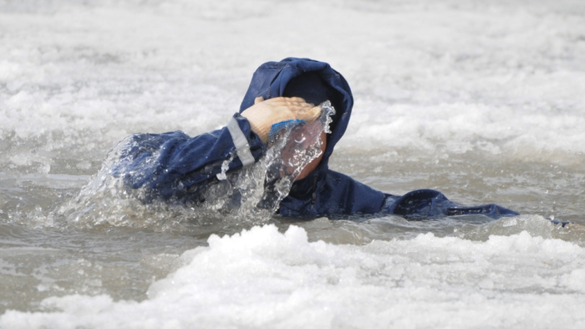 Из открытых источников