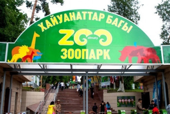 Фотография к новости: Сменился директор Алматинского зоопарка