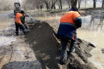 Ещё 70 дворов подтопило в Алматинской области