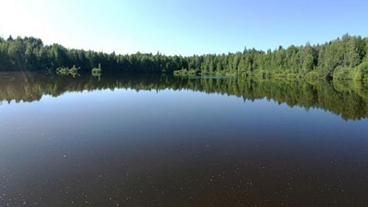 Из открытых источников