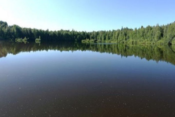 Историю о рыбах-мутантах в ртутном озере Павлодара поставили под сомнение