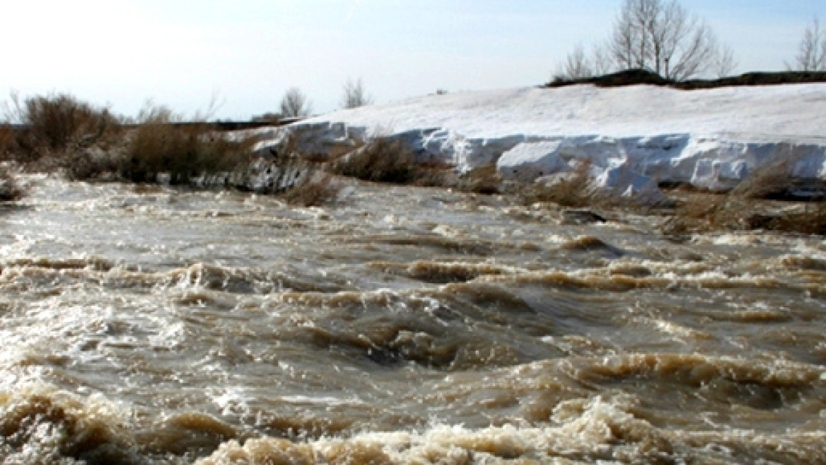 из открытых источников