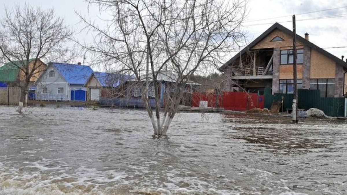 из открытых источников