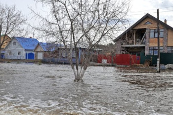Талыми водами затопило более 120 частных дворов в Узынагаше