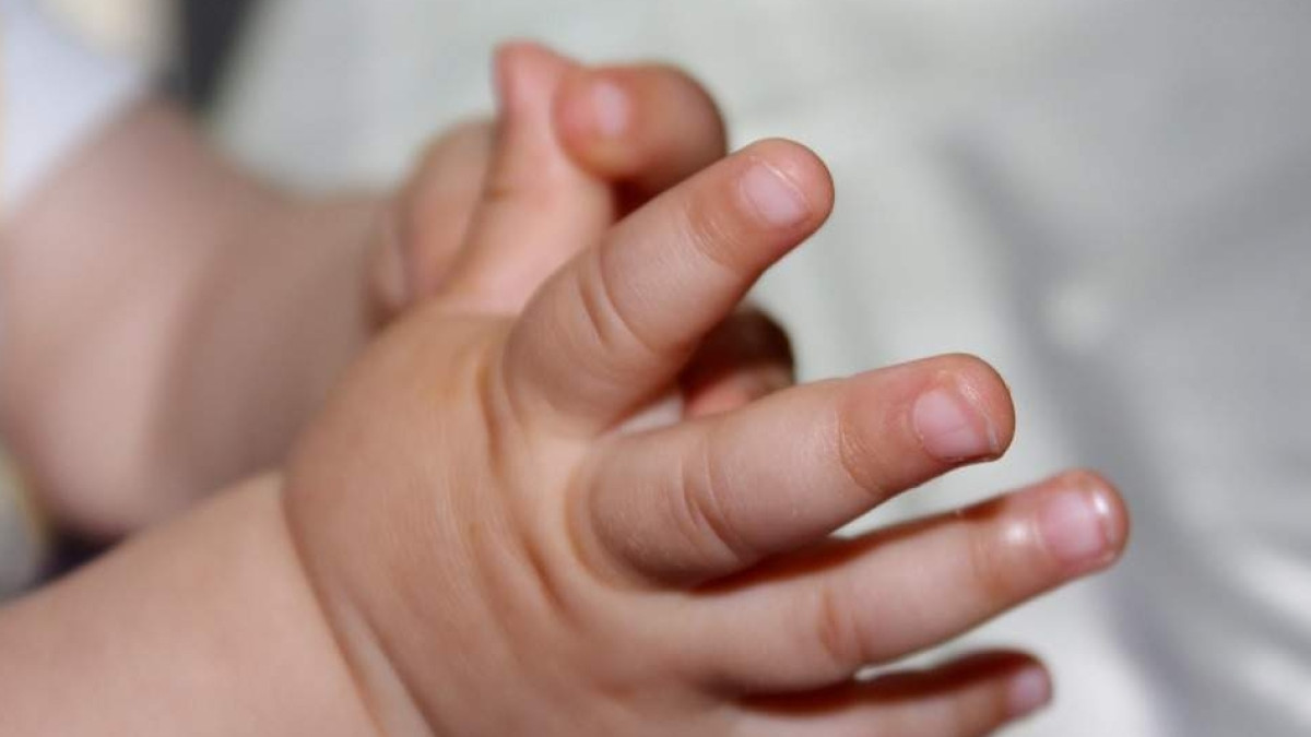 Из открытых источников