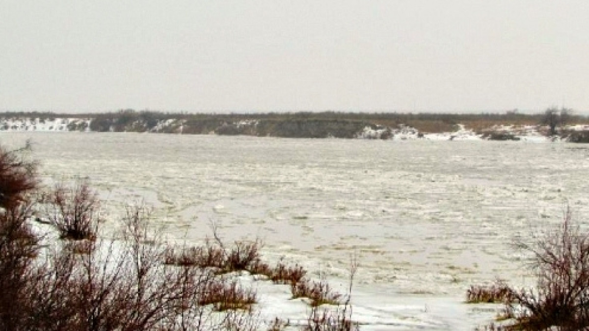 Из открытых источников