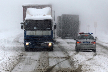 Фотография к новости: Тела троих мужчин найдены в автомобиле с казахстанскими номерами в Подмосковье 